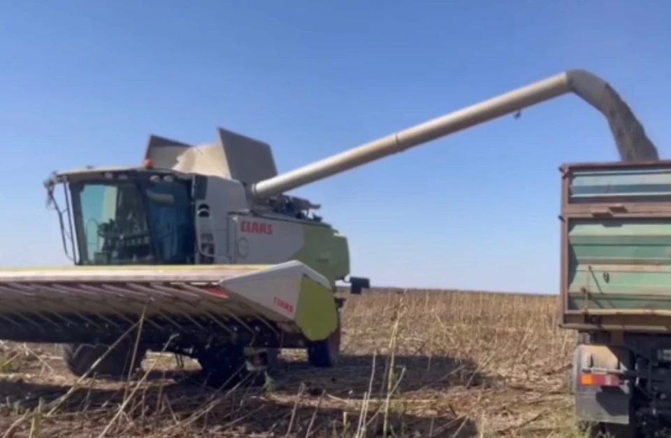 На полях Рязанской области продолжается уборка урожая