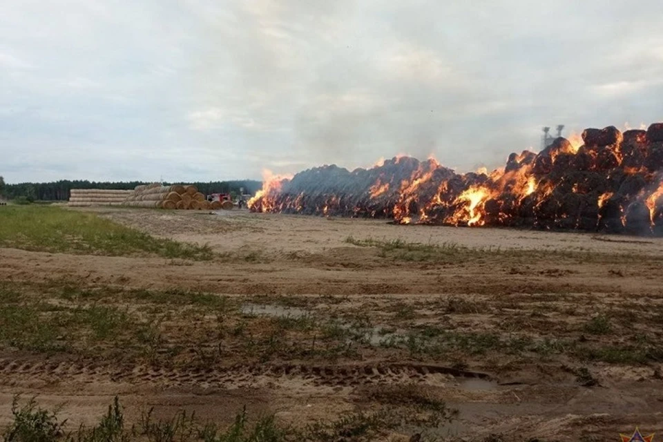 Выясняется, по какой причине загорелись скирды соломы. Фото: МЧС