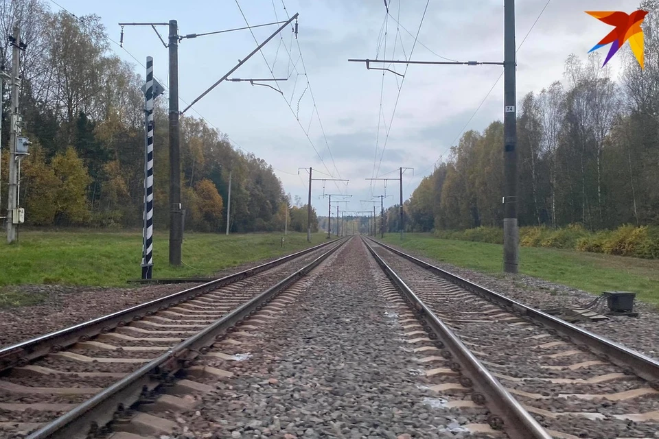 Под Дятлово поезд насмерть сбил мужчину, приехавшего к родителям. Снимок используется в качестве иллюстрации. Фото: архив «КП»