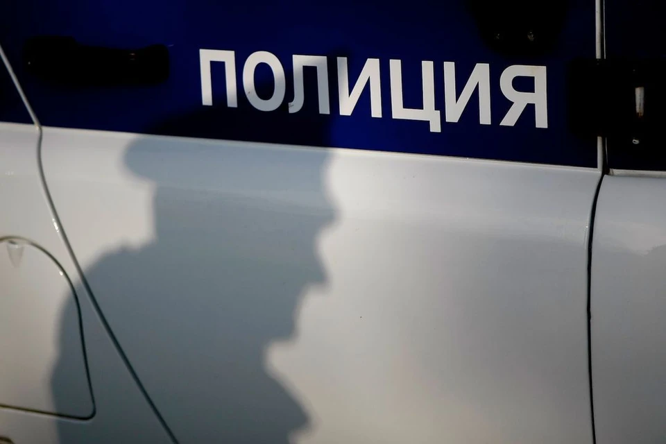 Объявленного в федеральный розыск новосибирца задержали в Питере.