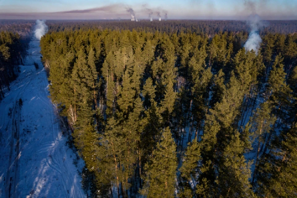 Средняя площадь таких ЧП значительно уменьшилась