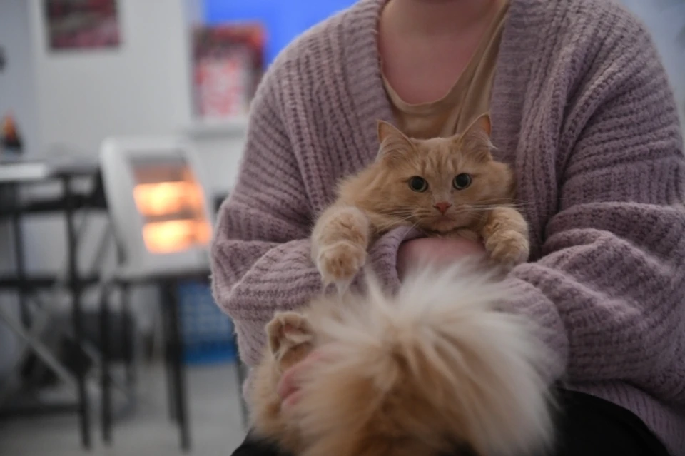 Жители Магаданской области рассказали о «нежелании» властей включать отопление