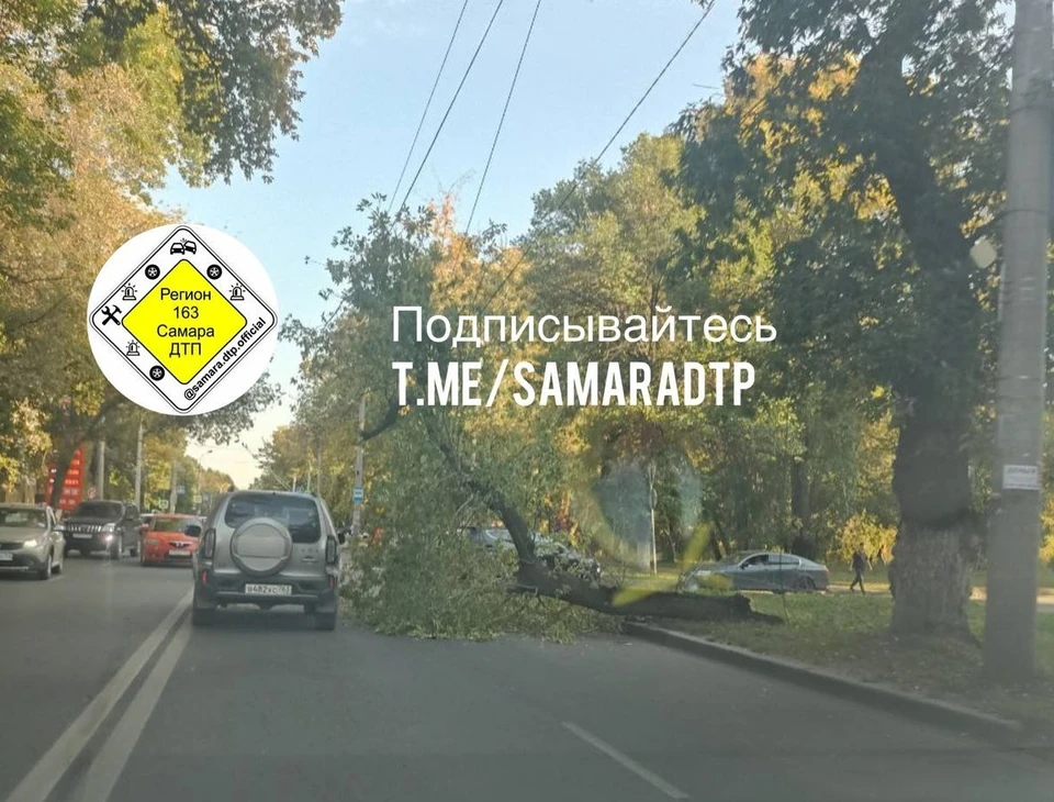 Упавшее дерево спровоцировало пробку на пр. Кирова / Фото: samara.dtp.official