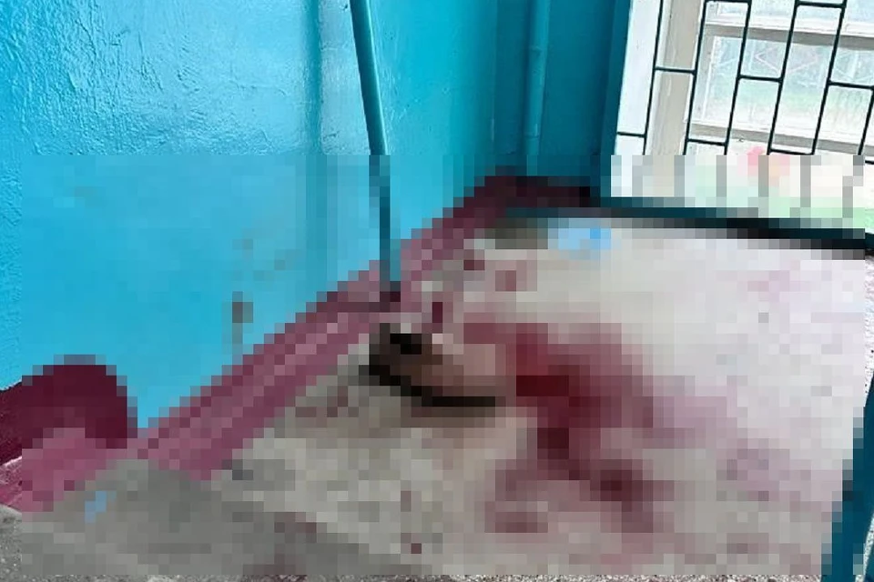 В Новосибирске мужчина зарезал соседа по лестничной клетке. Фото: СК РФ НСО.