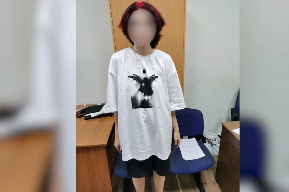 18-летней девушке грозит до шести лет колонии за мошенничество в Липецке
