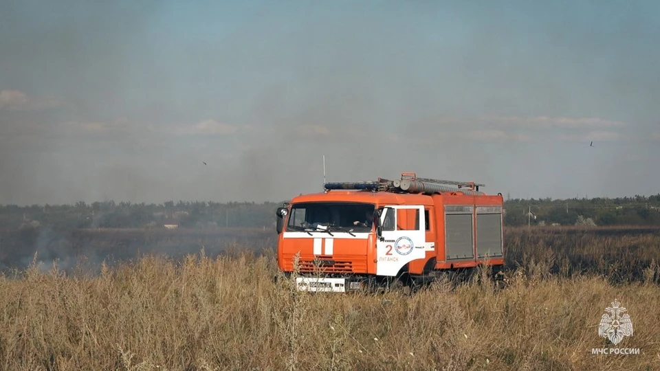 Крупный пожар тушили в поле около поселка Видное. Фото - телеграм-канал ГУ МЧС России по ЛНР