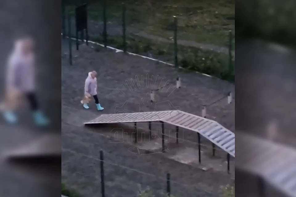 В Мурманске опубликованным в соцсетях видео, где хозяйка собаки грубо обращается с питомцем, заинтересовалась полиция. Фото: скриншот видео / Мурманск ДТП ЧП / vk.com/murmansk_dtp