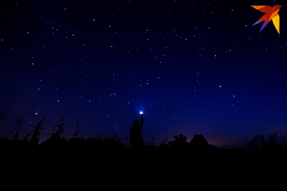 Жители Мурманской области скоро смогут увидеть в ночном небе зрелищное природное явление - метеорный поток Персеиды.