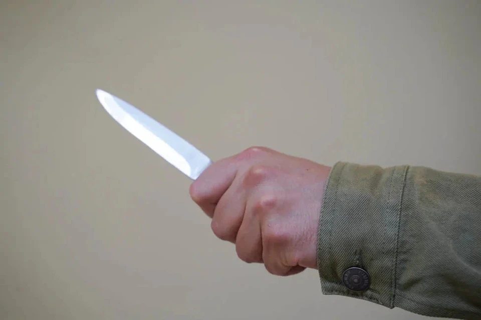 В ходе конфликта мужчина схватил нож и зарезал им оппонента