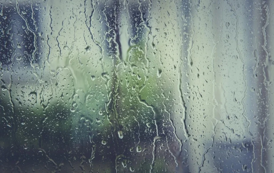 Дождь и туман: синоптики рассказали о погоде в Коми 10 сентября