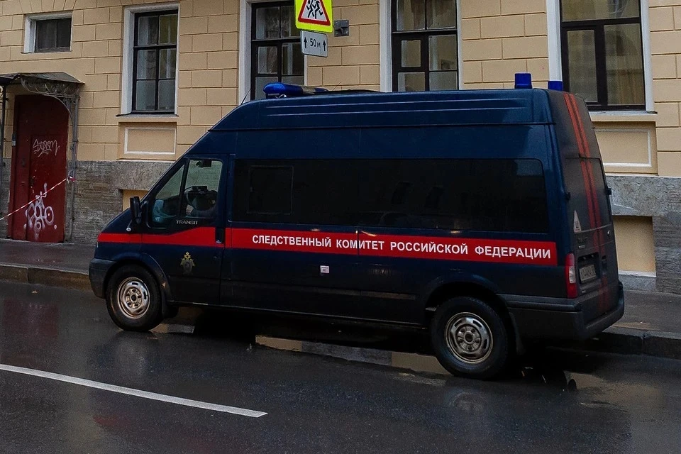 Обвиняемой предъяви обвинение в убийстве
