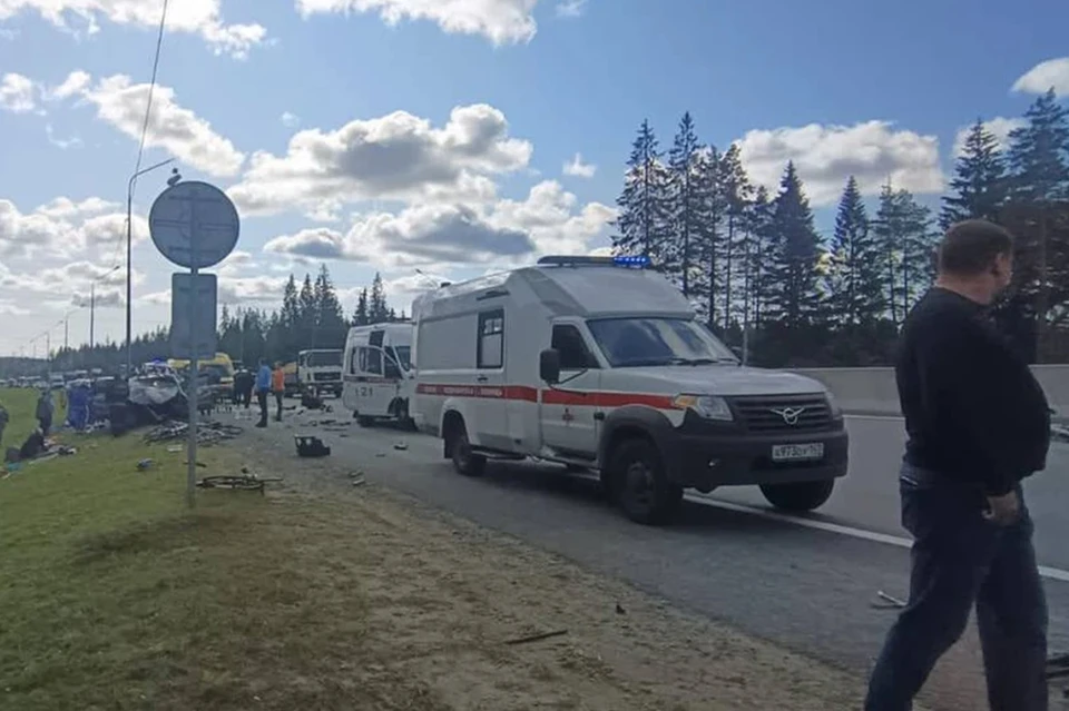 Пострадавшие в ДТП на "Скандинавии" девочки-велосипедистки продолжают лечиться в больницах Петербурга. Фото: ГУ МВД по Петербургу и Ленобласти
