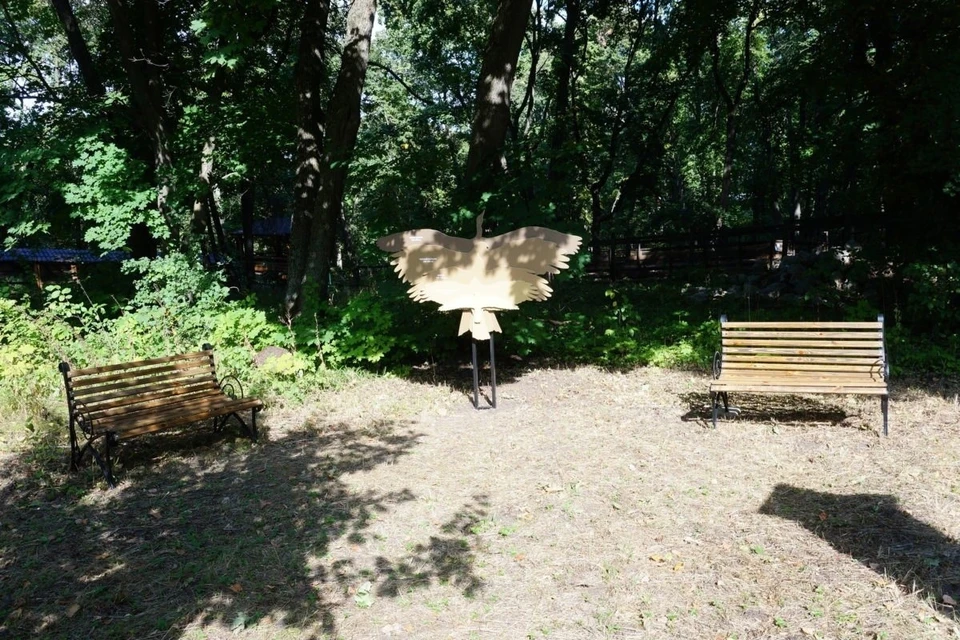 Посетители смогу измерить размах своих "крыльев". Фото: нацпарк "Самарская Лука"