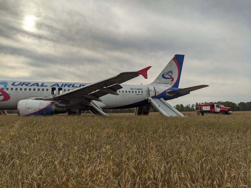 Прокуратура начала проверку авиаинцидента с самолетом Сочи-Омск Фото: соцсети