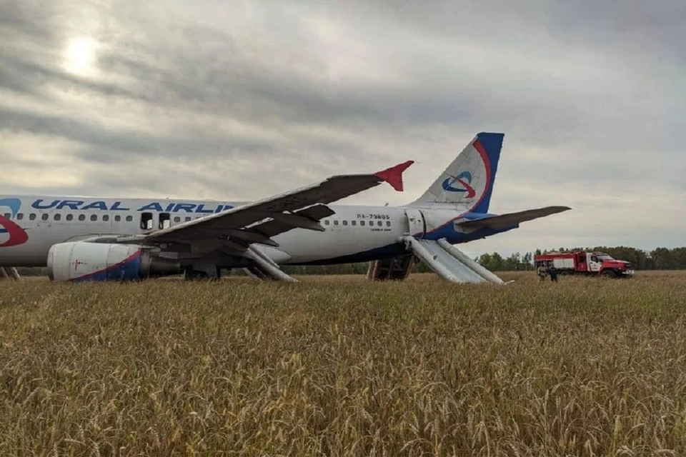 Предварительно, у самолета возникла проблема с гидросистемой. Фото: Фото: Западно-Сибирская транспортная прокуратура