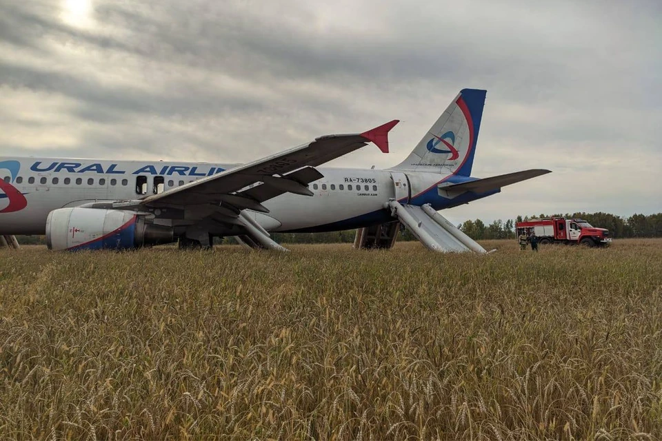 Самолет сел в Убинском районе. Фото: Западно-Сибирская транспортная прокуратура.