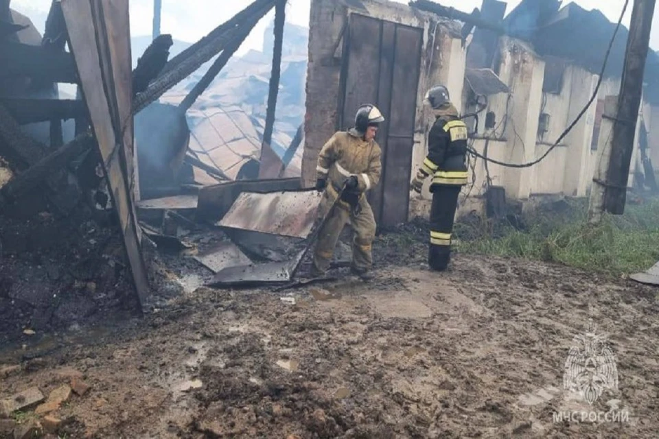 Крупный пожар на заброшенном складе ликвидировали в Новосибирской области. Фото: ГУ МЧС НСО.