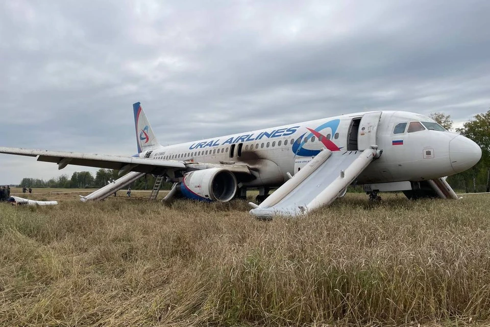 Аварийной посадкой самолета в Новосибирской области заинтересовался Александр Бастрыкин.