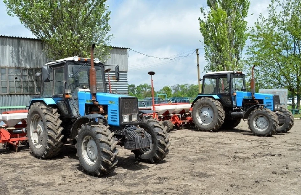 В ДНР озимыми засеяли более шести тысяч гектаров полей (архивное фото). Фото: ДАН