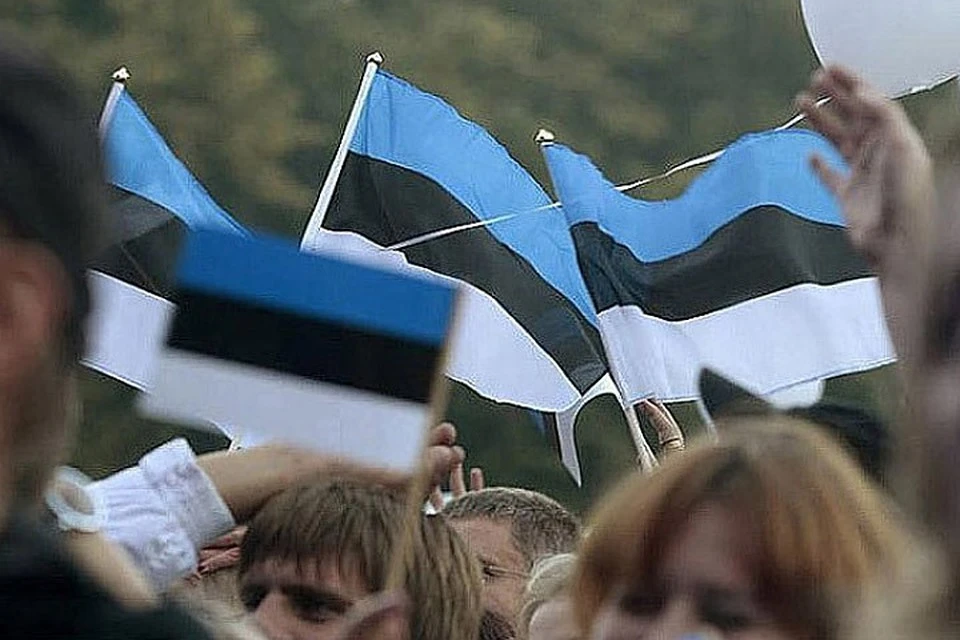 Пограничники Эстонии развернули авто гражданина Литвы с российскими номерами
