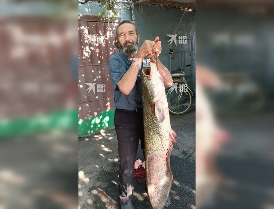 Рыбак поймал рыбу в 142 сантиметра весом 24 килограмма