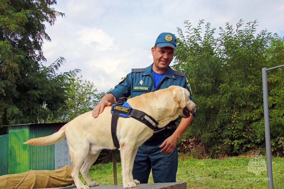 Собаки – незаменимые и верные помощники спасателей. Фото: МЧС ДНР