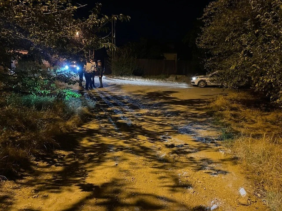 Фото: Госавтоинспекция Ставропольского края