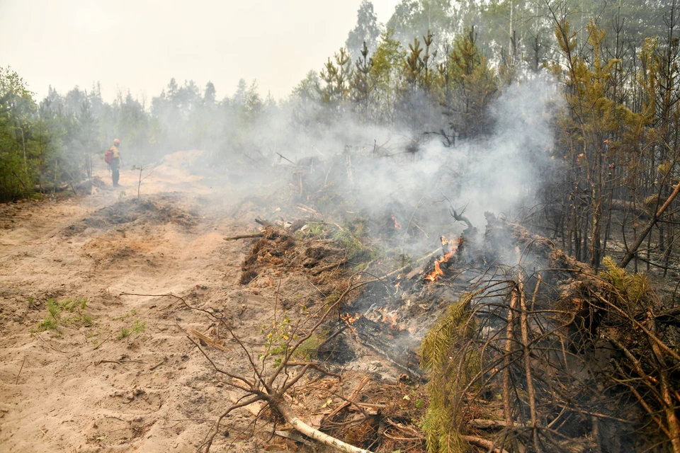 В пожароопасный период запрещается разводить костры в лесах, на приусадебных участках, а также поджигать траву
