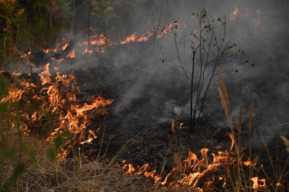 Высокая пожароопасность ожидается в Нижегородской области.
