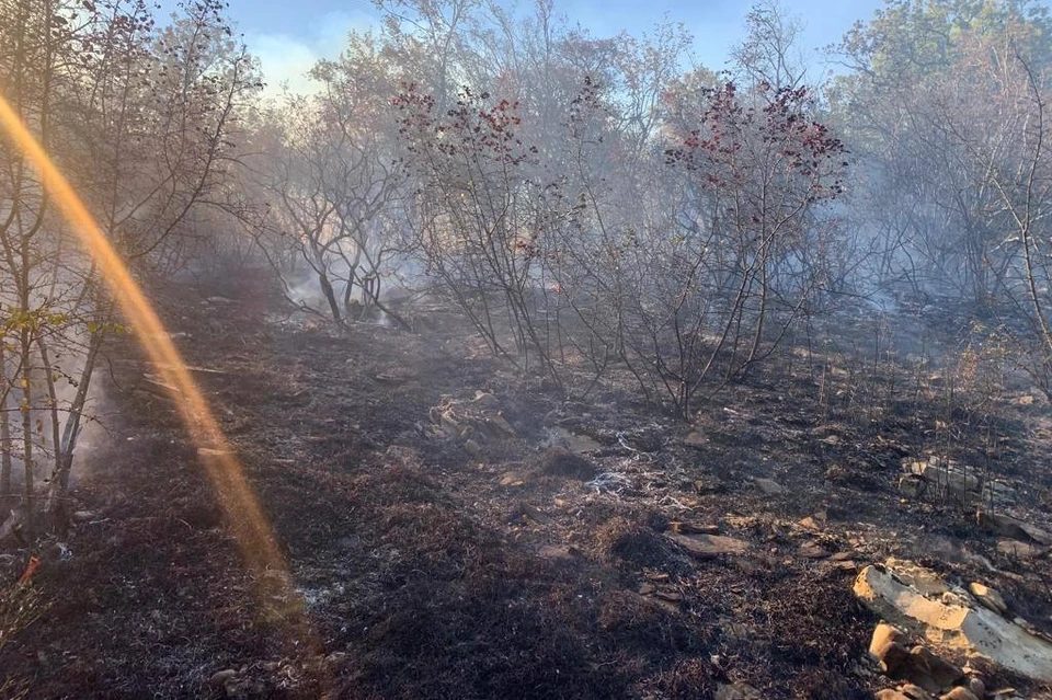 В Геленджике потушили лесной пожар на площади 12 га Фото: пресс-служба министерства природных ресурсов Краснодарского края