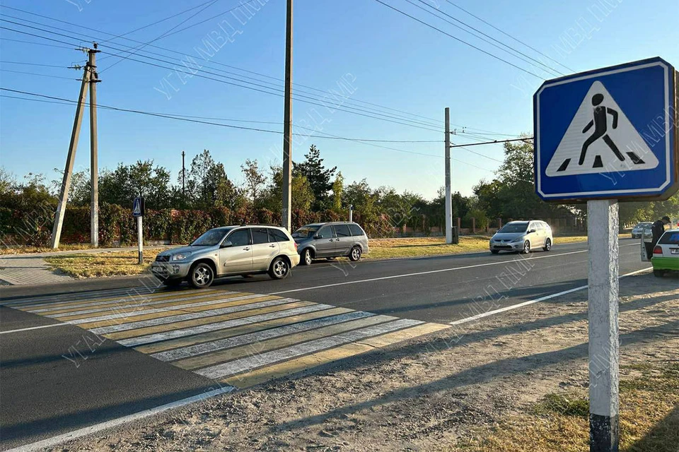 Водитель сбил детей на пешеходном переходе (Фото: МВД Приднестровья).
