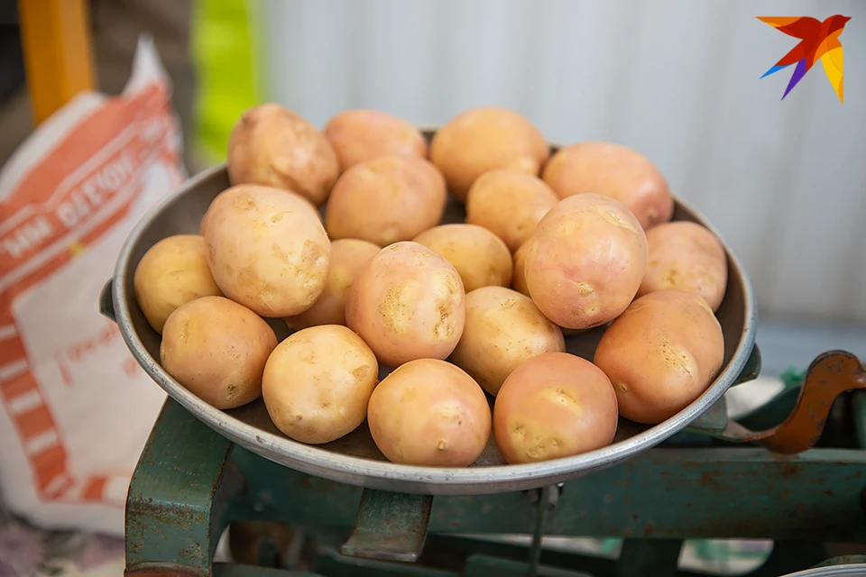 Цены на картофель резко снизились в Мурманской области.
