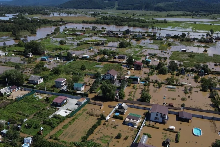Ущерб сельскому хозяйству Приморья из-за паводков превысил 1,6 миллиарда рублей
