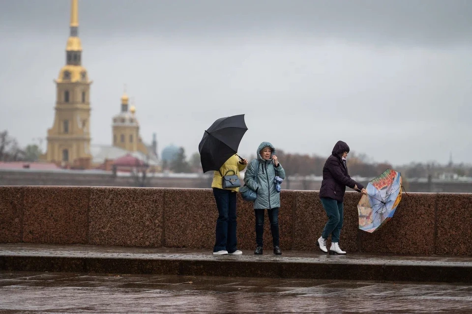 В конце недели в Петербурге будет ветрено.