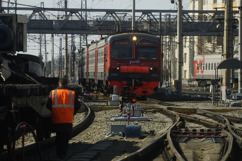 Происшествие случилось на разъезде Зоологический сад.