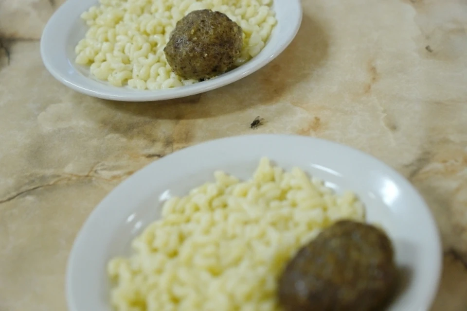 На Урале ученики жалуются на тараканов и мух в школьной столовой