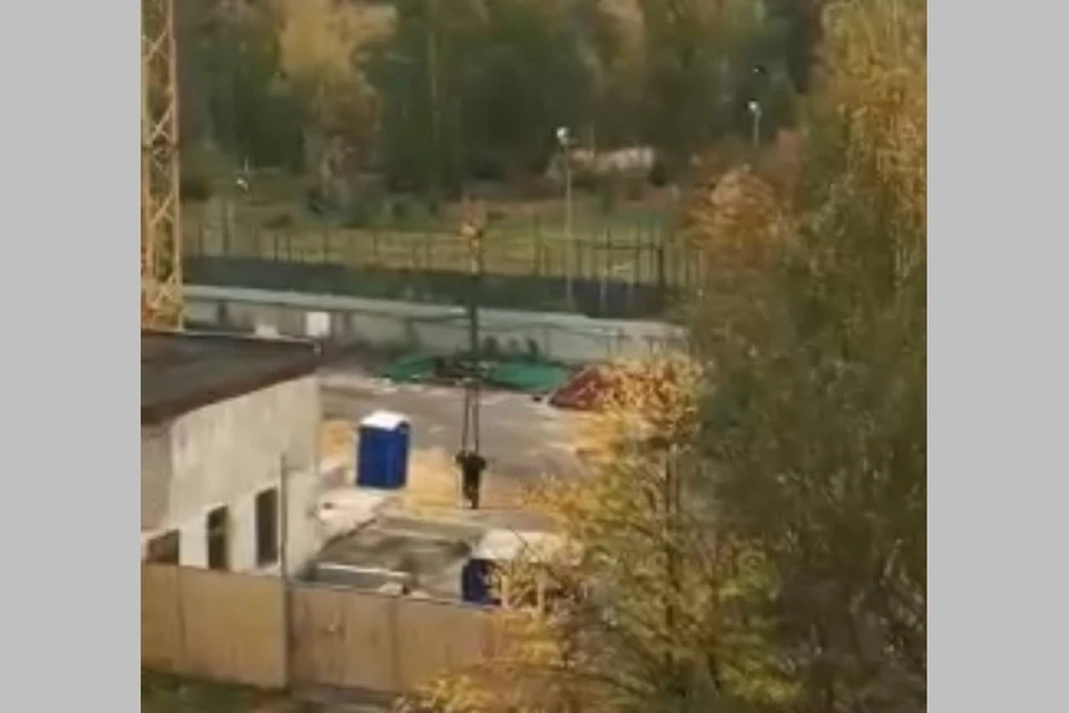В Рязани засняли рабочих, катавшихся на крюке башенного крана.