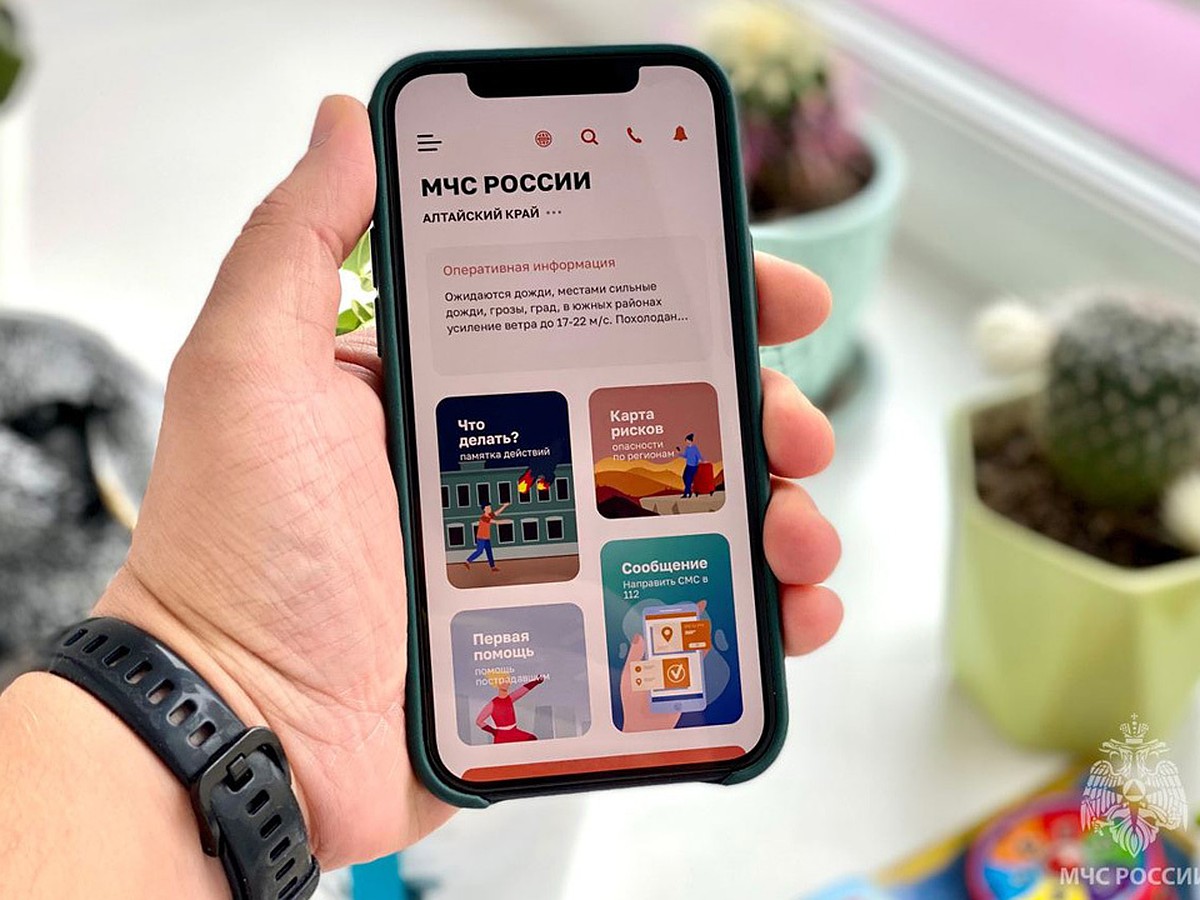 Жителям Алтайского края предлагают установить мобильное приложение с  «личным помощником» - KP.RU