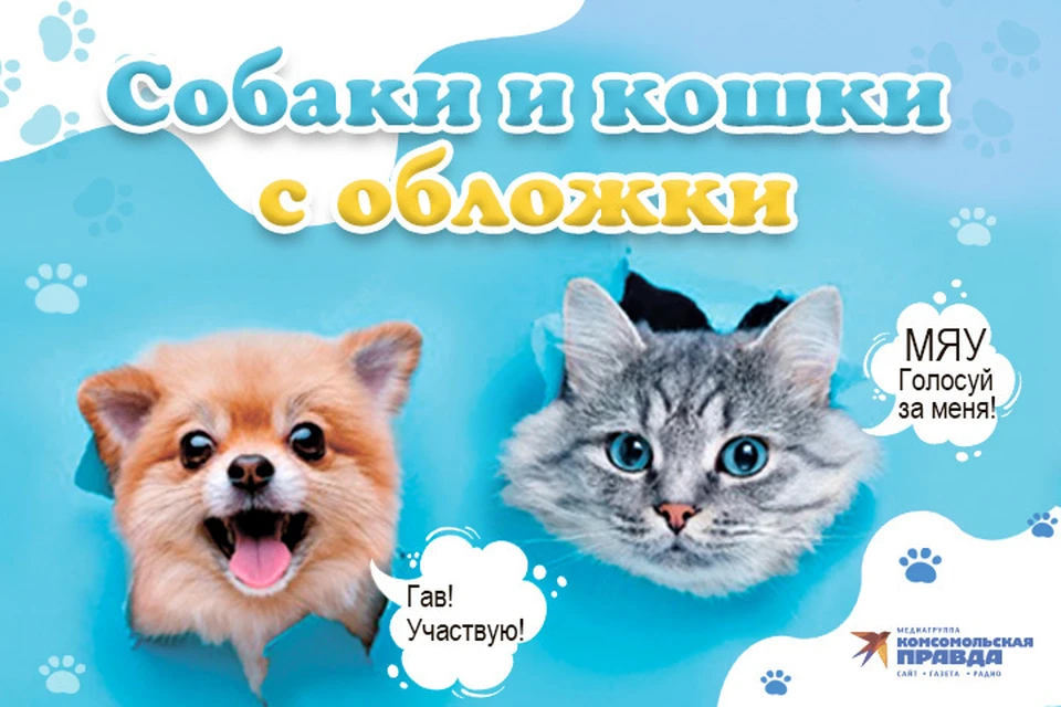 «Комсомольская правда» - Хабаровск» запускает фотоконкурс «Собаки и кошки с обложки»