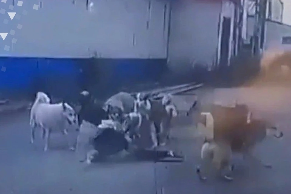 Фото: скриншот из видео/соцсети
