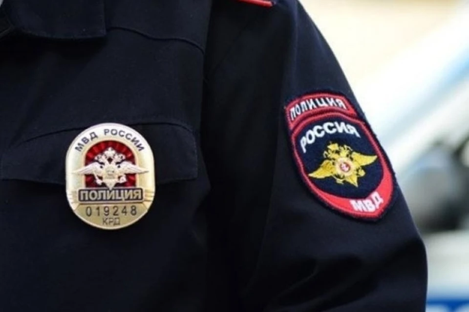 В полицию города Бердянск обратилась местная жительница с заявлением о пропаже девочки. ФОТО: тг-канал ГУ МВД России по Запорожской области