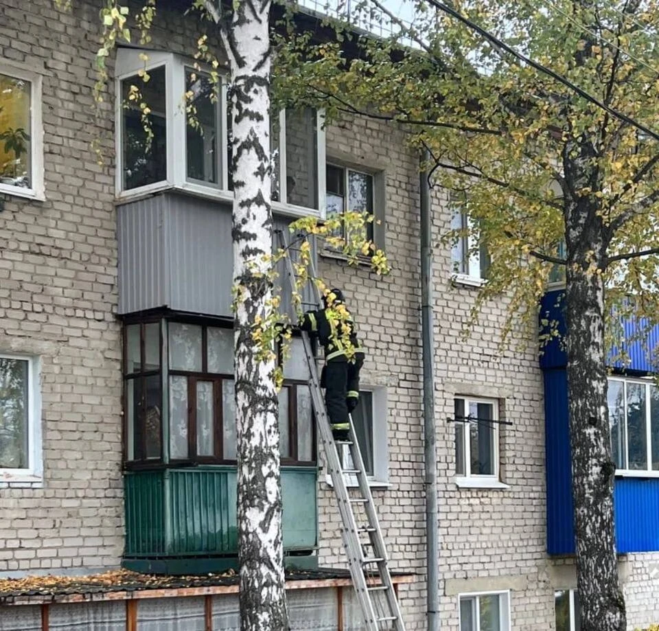 В Ульяновске после тревожного сигнала пожарная бригада МЧС передала матери маленького мальчика. ФОТО: МЧС УО