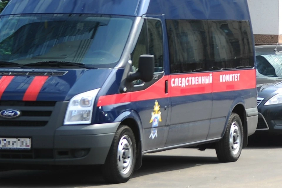 В Кузбассе мужчину будут судить за попытку изнасилования и грабеж.