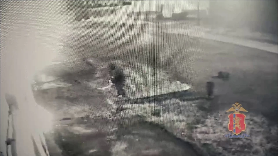 Скриншот: видео МВД по Красноярскому краю