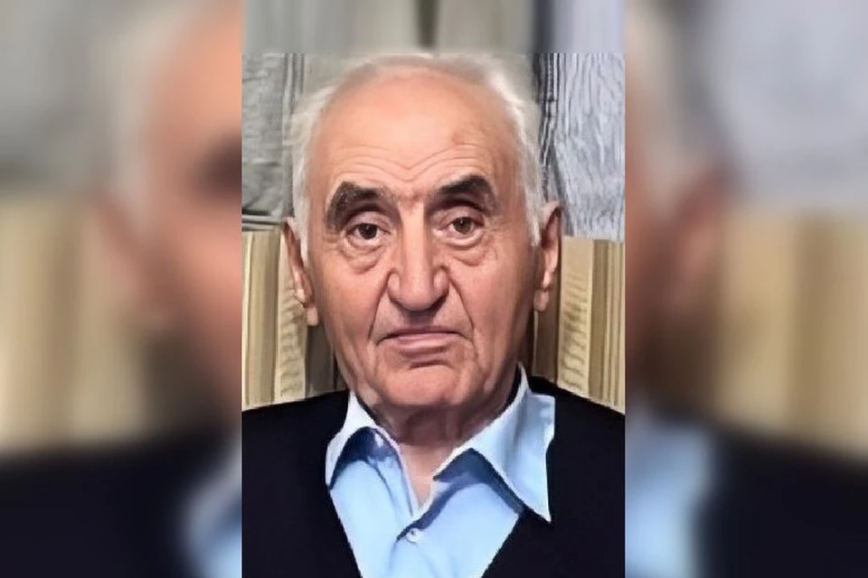 В Новосибирской области ищут 89-летнего Бориса Ивановича Бутхузи. Фото: "ЛизаАлерт НСО"