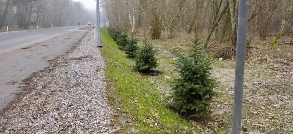 Фото: Минприроды региона.