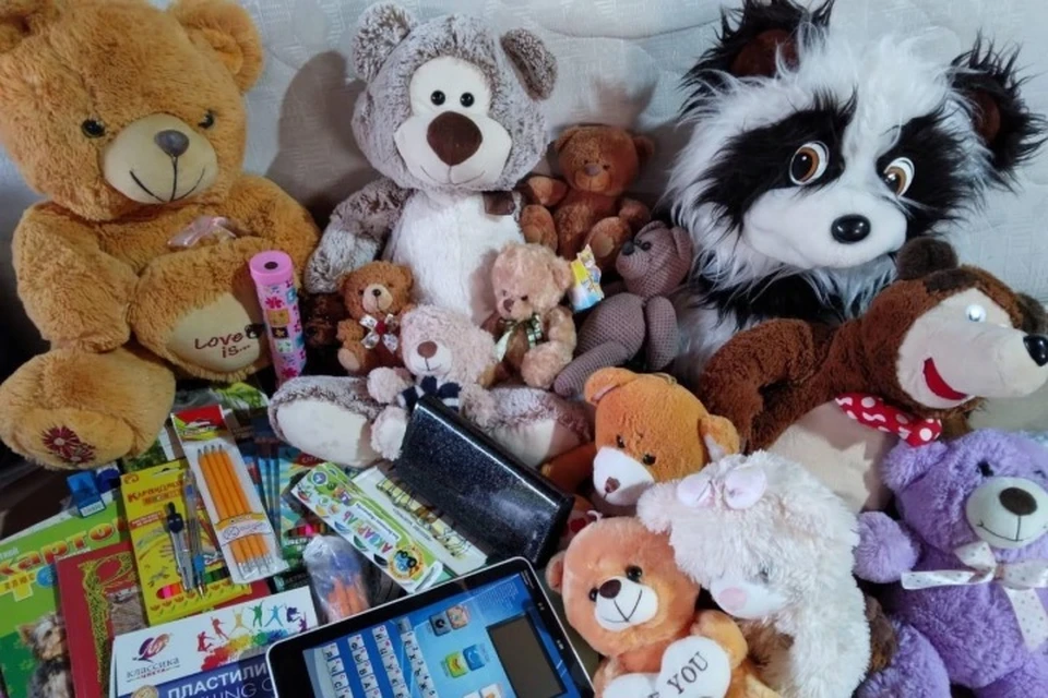 Жительница Алтайского края передала детям Славяносерсбкого района около 2 тысяч игрушек. Фото - правительство Алтайского края
