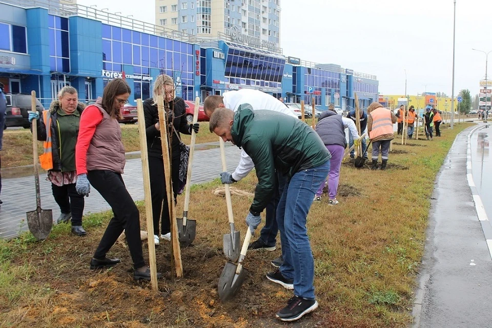 Фото предоставлено пресс-службой фонда «Милосердие»