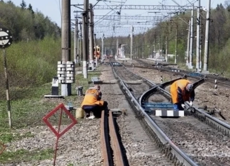В Смоленской области поджог на ж/д нарушил движение поездов. Фото: пресс-служба МЖД.
