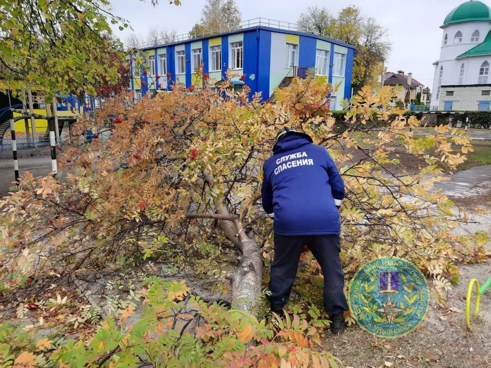 Ульяновские спасатели взялись за расчистку города от поваленных ветром деревьев | ФОТО: телеграм-канал Управление гражданской защиты г. Ульяновска
